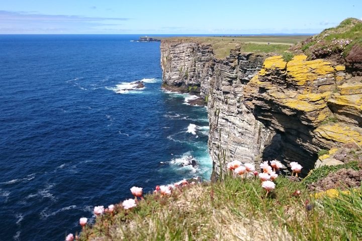 Orkney-cliffs