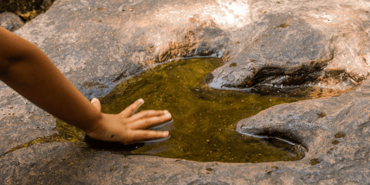 a child hand touching a dinosaur footprint in a rock