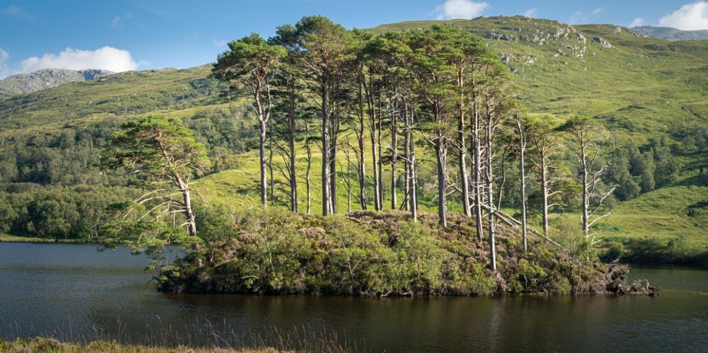 a body of water with a mountain in the background