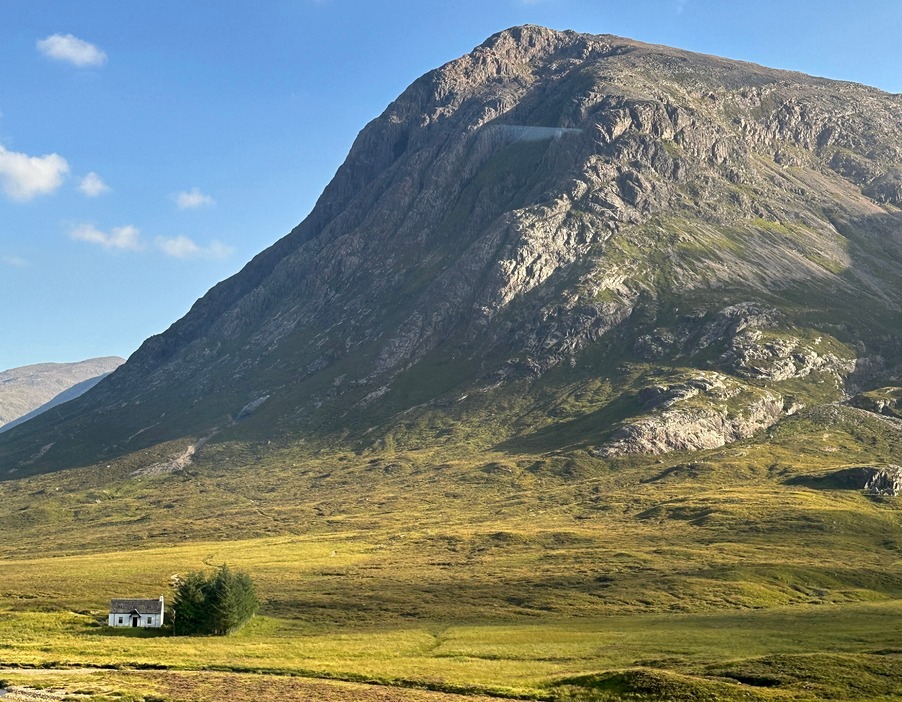 a field with a mountain in the background